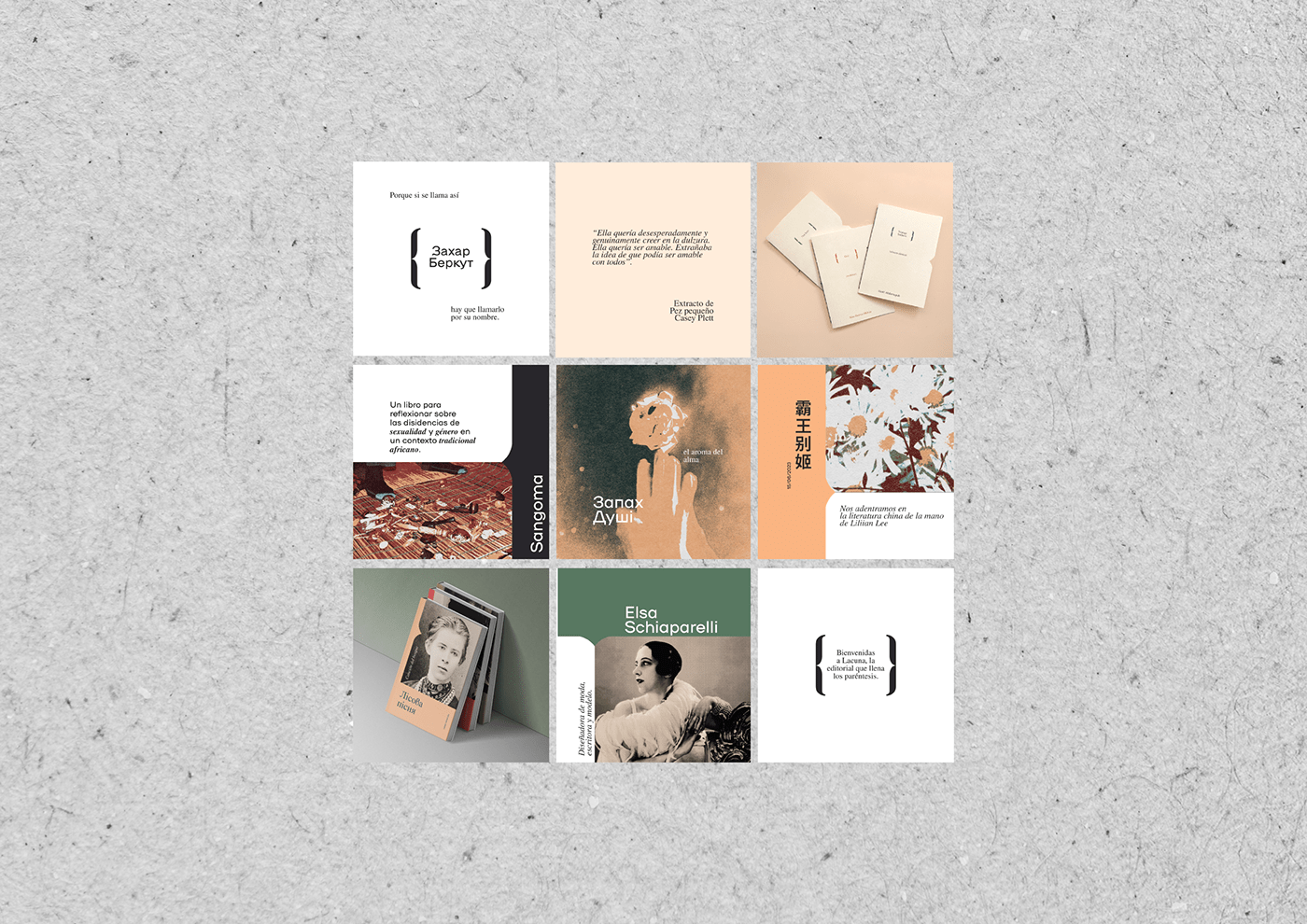 visual identity Branding design Book Cover Design publishing house books editorial