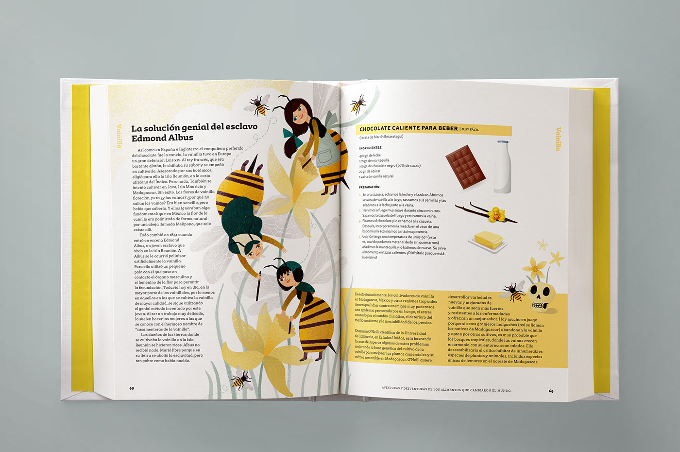 book design Children's Books infographics type setting InDesign Layout