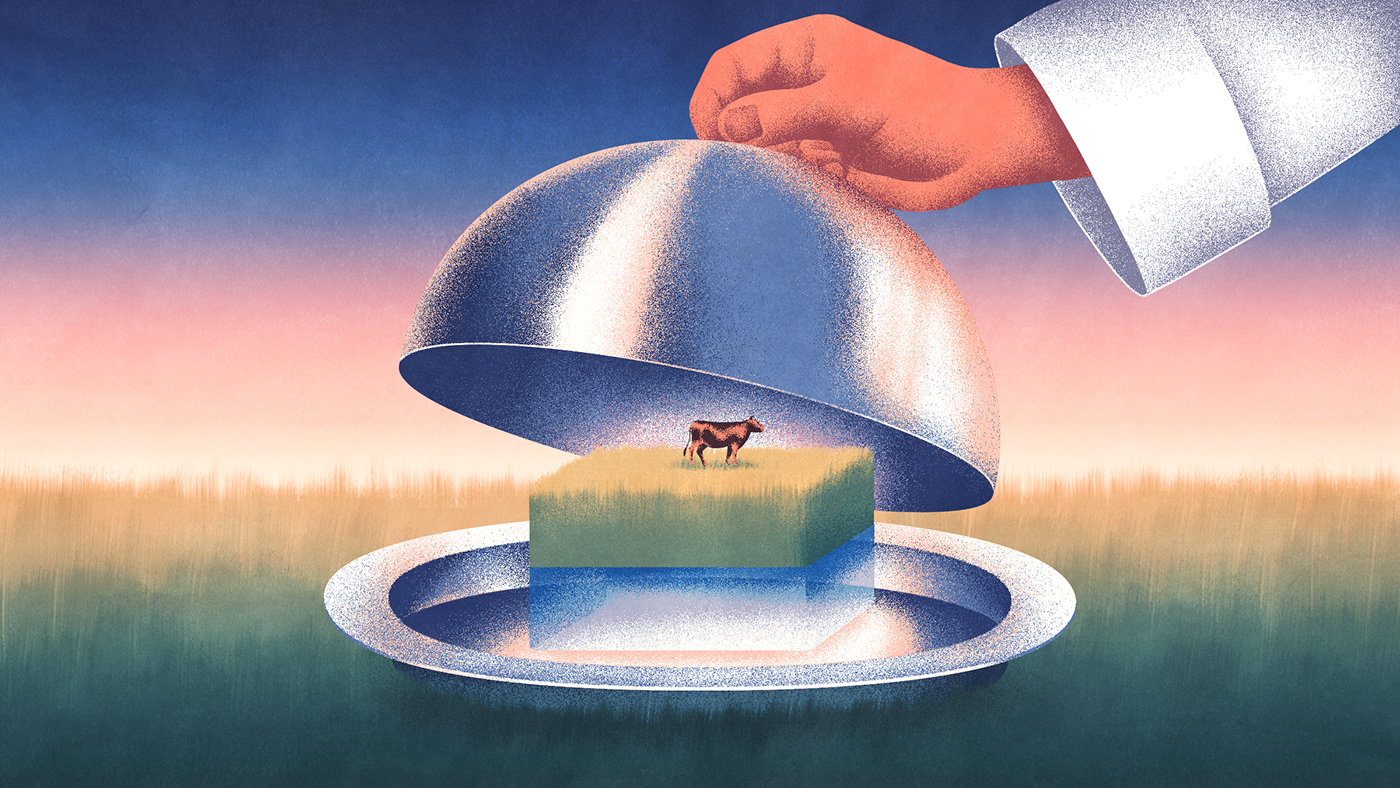 alt meat Outside Magazine Fake meat Editorial Illustration vegan Vegetarian farming cows