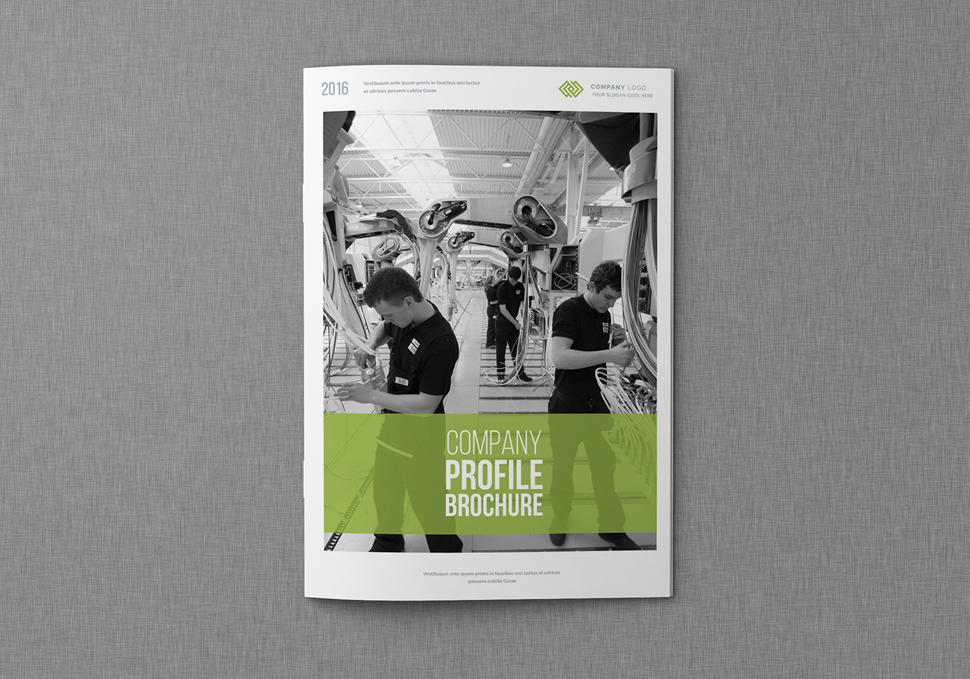 ANNUAL annual report blue brochure business business brochure corporate Design Templates