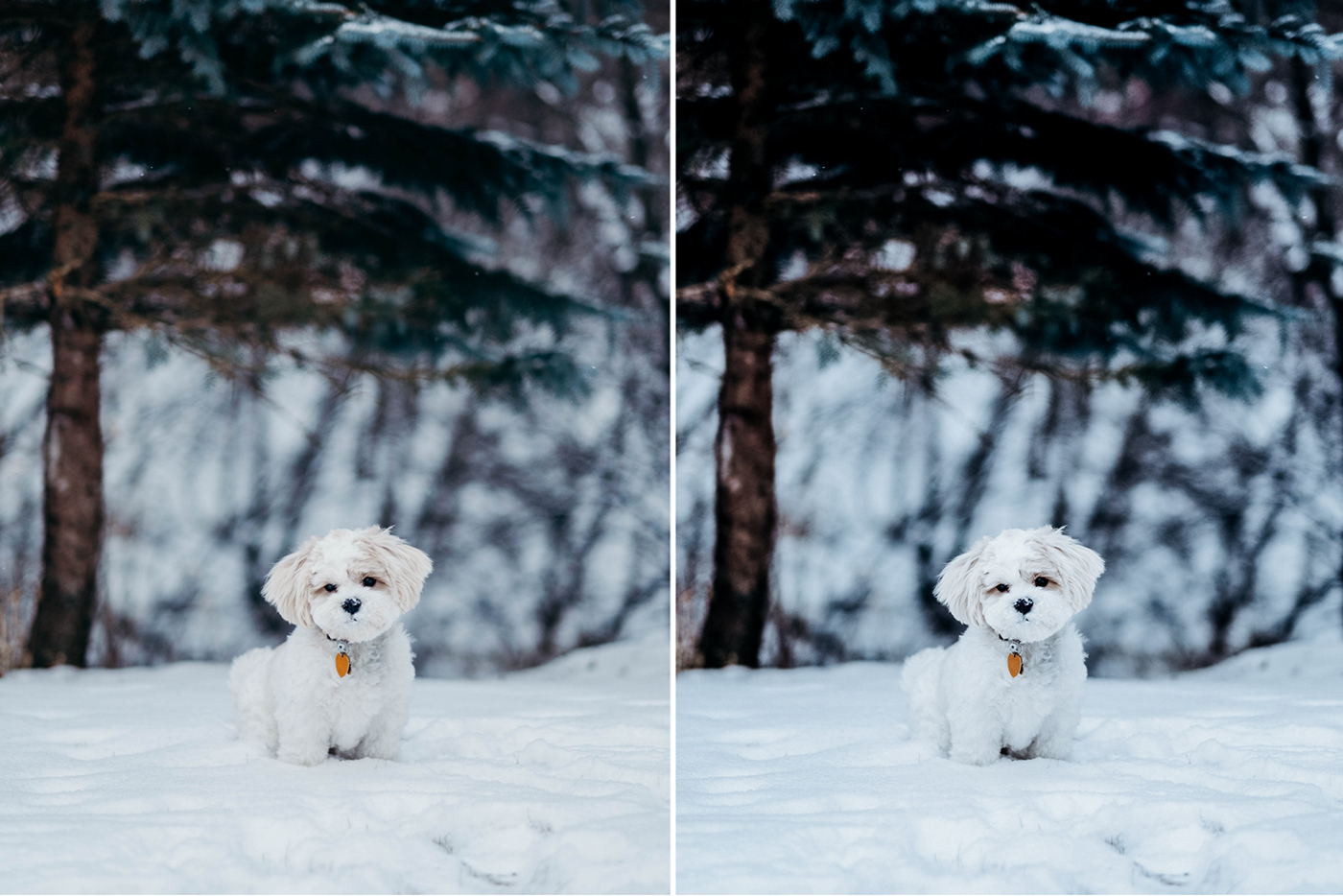 lightroom Photography  presets adventure preset Christmas Preset presets lightroom travel preset winter preset