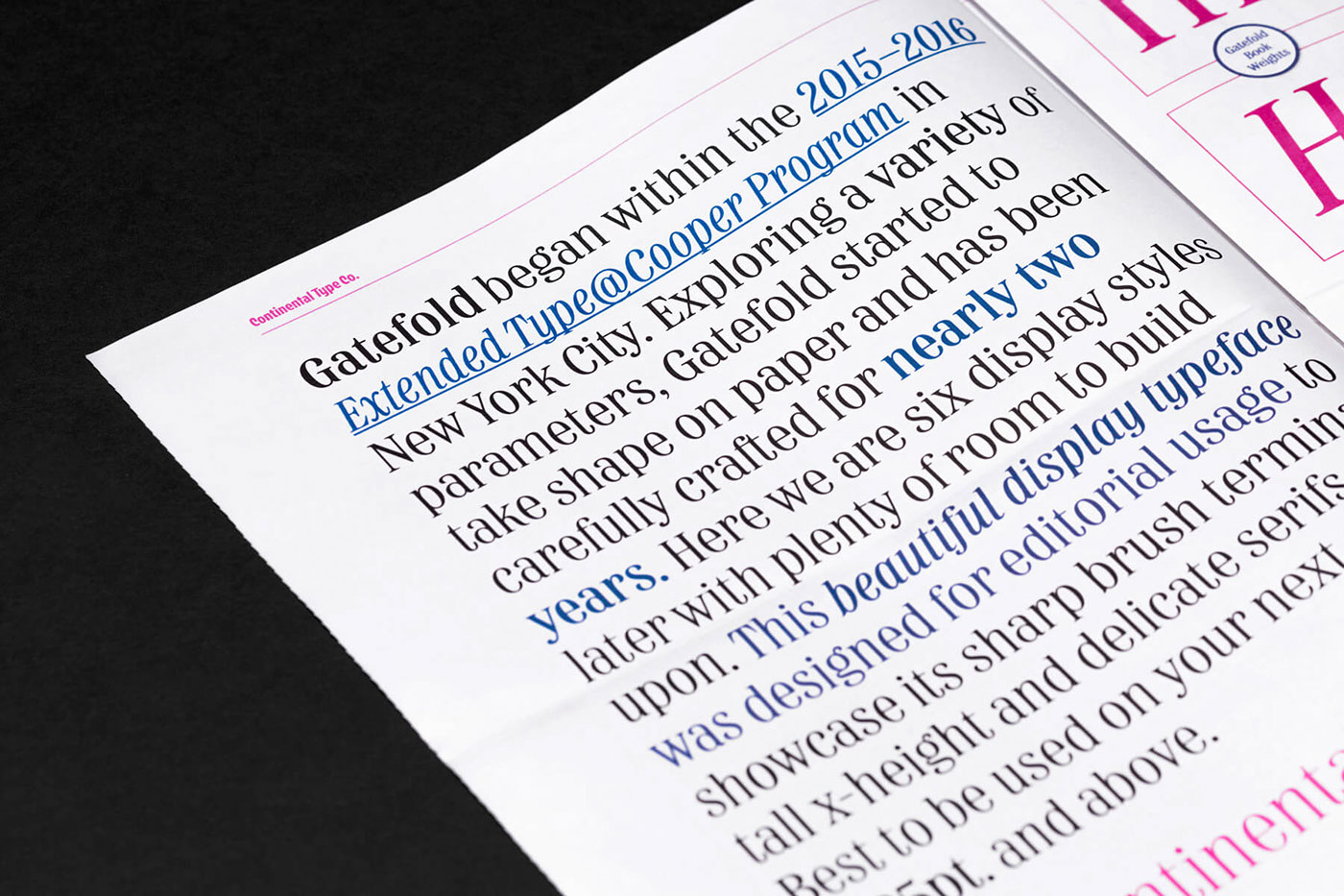 type Typeface typeface design font font design display face Display serif swash specimen