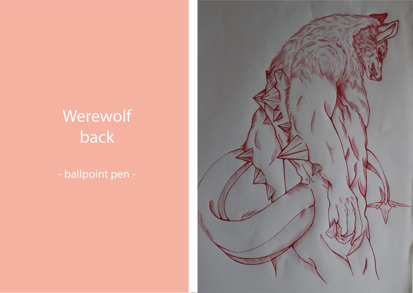fantasy Werewolf ink drawing aquarell ballpoint pen sketch oc