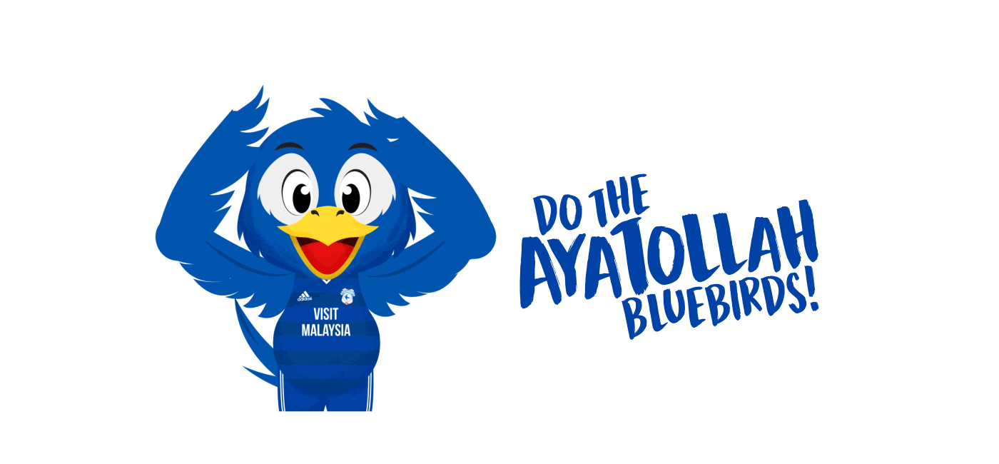 Mascot Character design  branding illustration bird football soccer sport wales Premier League ILLUSTRATION 
