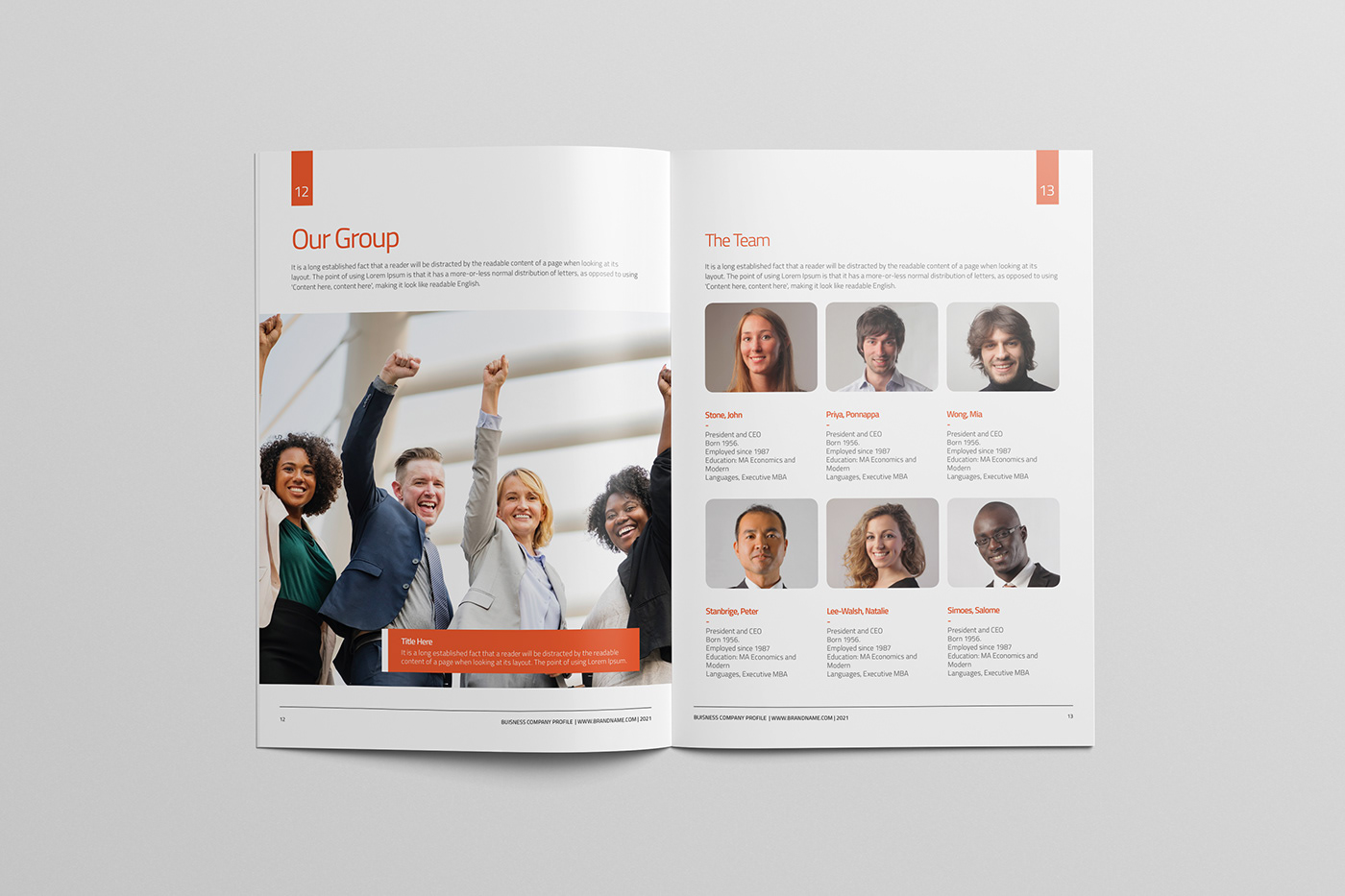 agency annual report brand manual brochure company corporate infographic portfolio report template