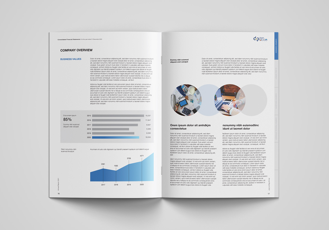 ANNUAL annual report branding  design report