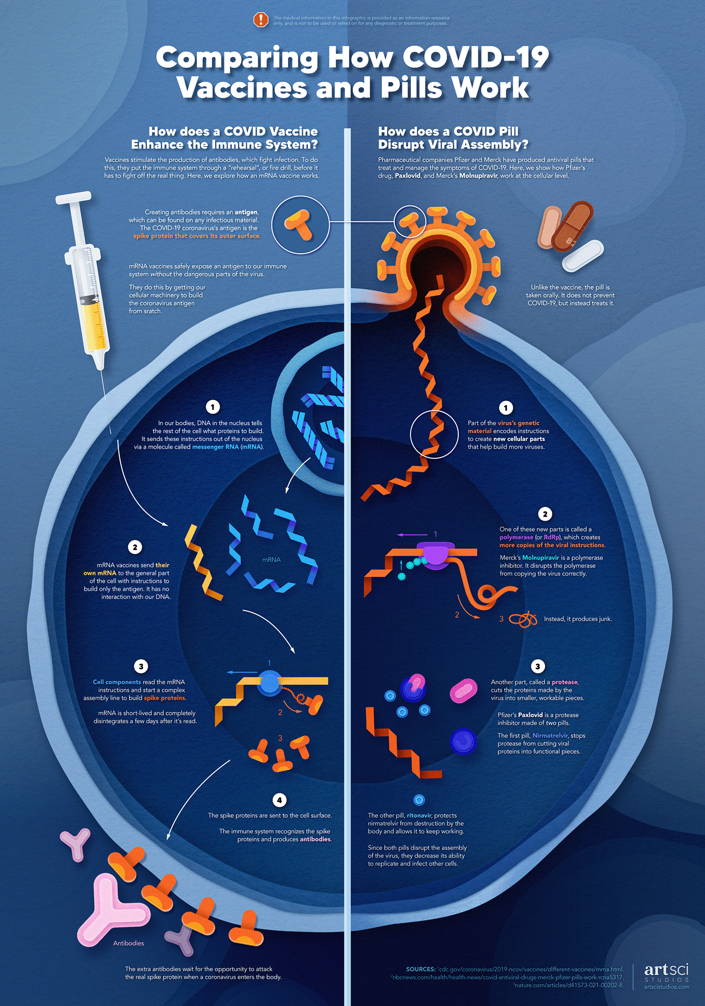 COVid COVID-19 infographic infographics information information design medical medicine science scientific illustration