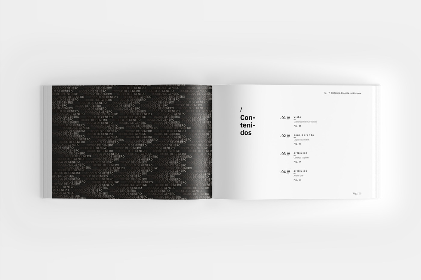 fadu Massimo rocio tipografia uba venancio book editorial design  design typography  