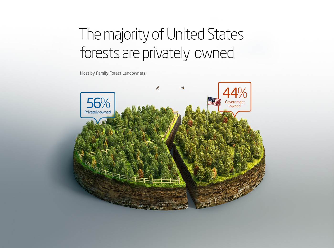Tree  infographics pie chart map diagram forestry aerial view annual report information design data visualization information graphics graph plot Ecology Nature pine