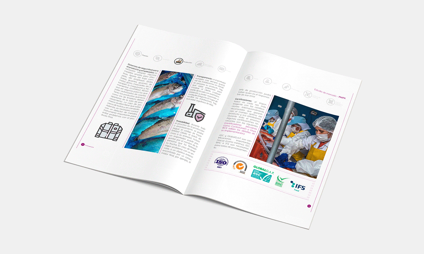 editorial design  InDesign diagramación Diseño editorial book report design diseño gráfico graphic design  infographic adobe illustrator