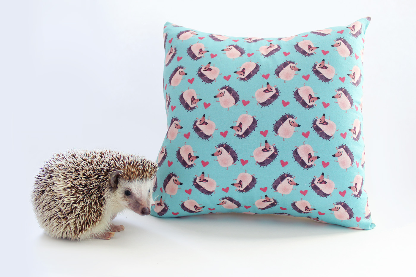 Hedgehog hedgie pattern ILLUSTRATION  pillows zipper purse pouch