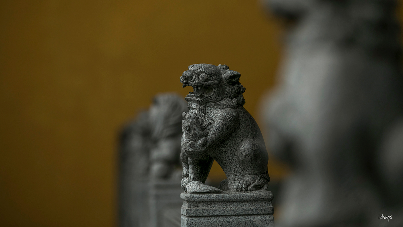 Photography  vlog 佛教 寺庙 建筑 摄影 旅行 杭州 灵隐寺 风景