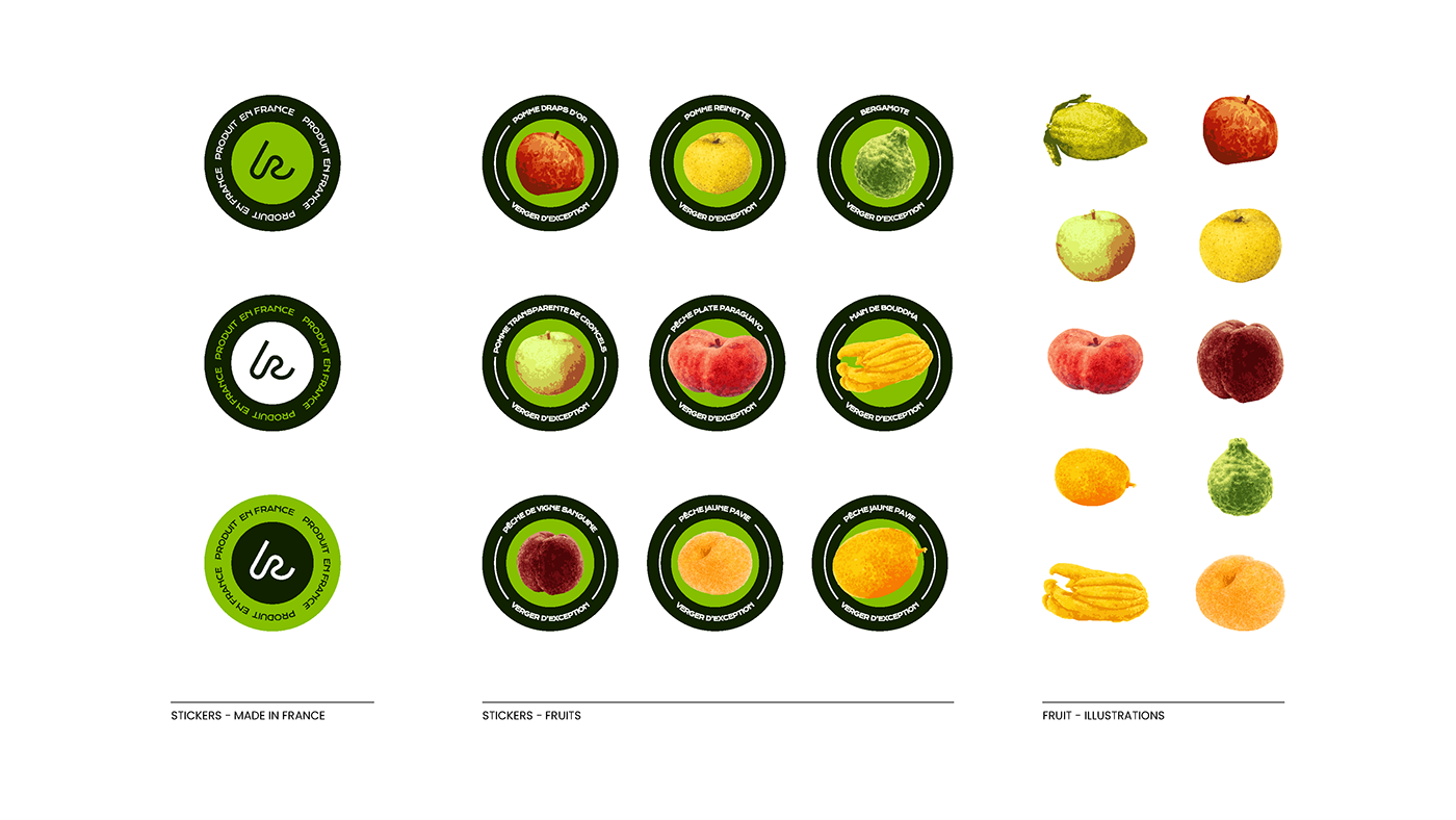 identité visuelle branding  brand identity Logo Design graphic design  visual identity Arboriculture nature branding Nature Fruit