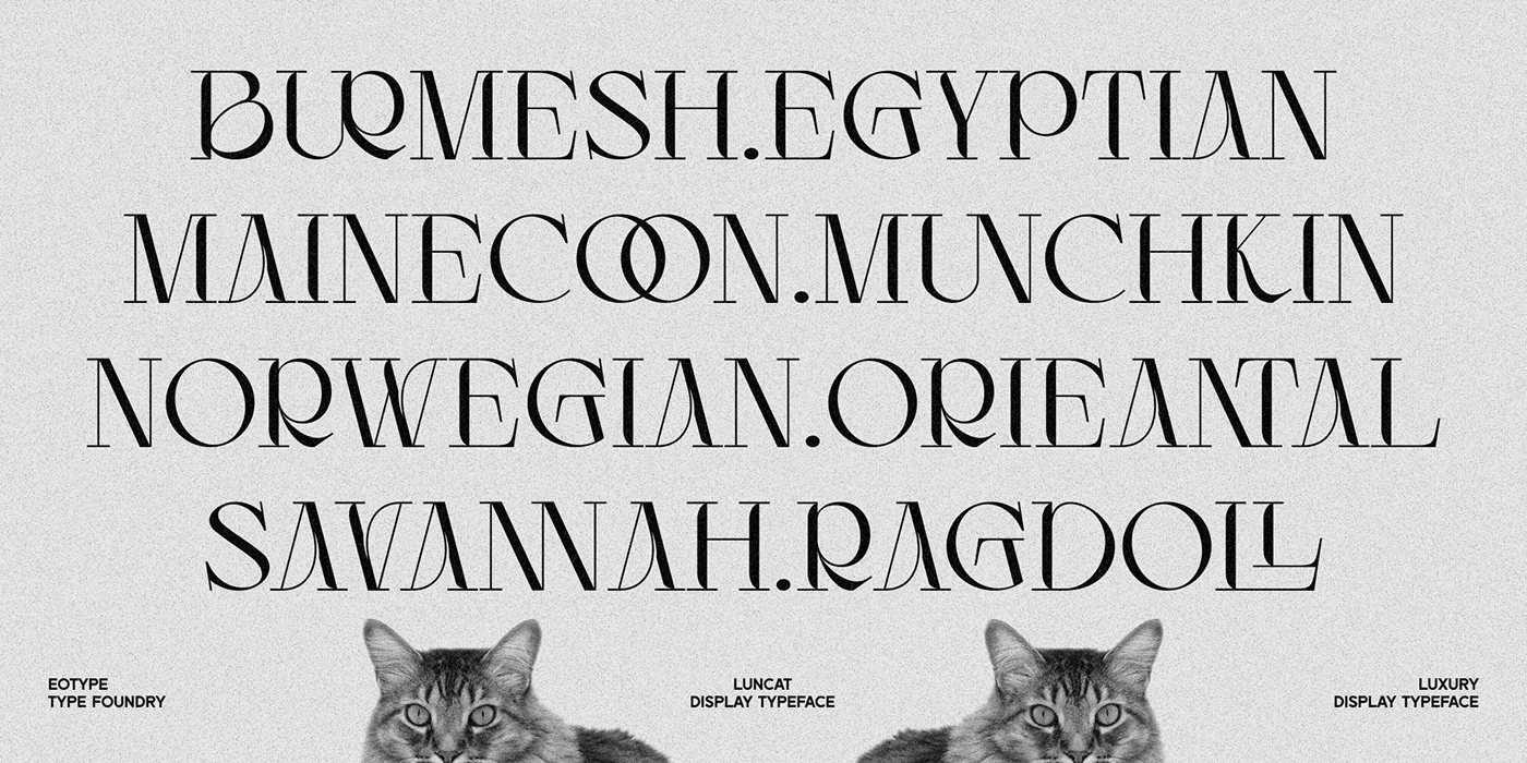 alphabet display font font lettering luxury font retro font Typeface typefoundry typography   vintage font