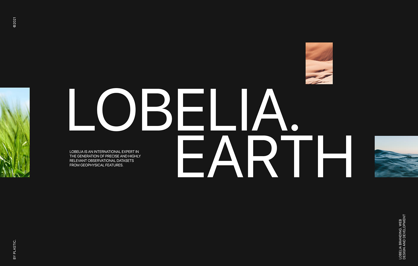 animation  climate change mobile typography   UI/UX ux Web Design 