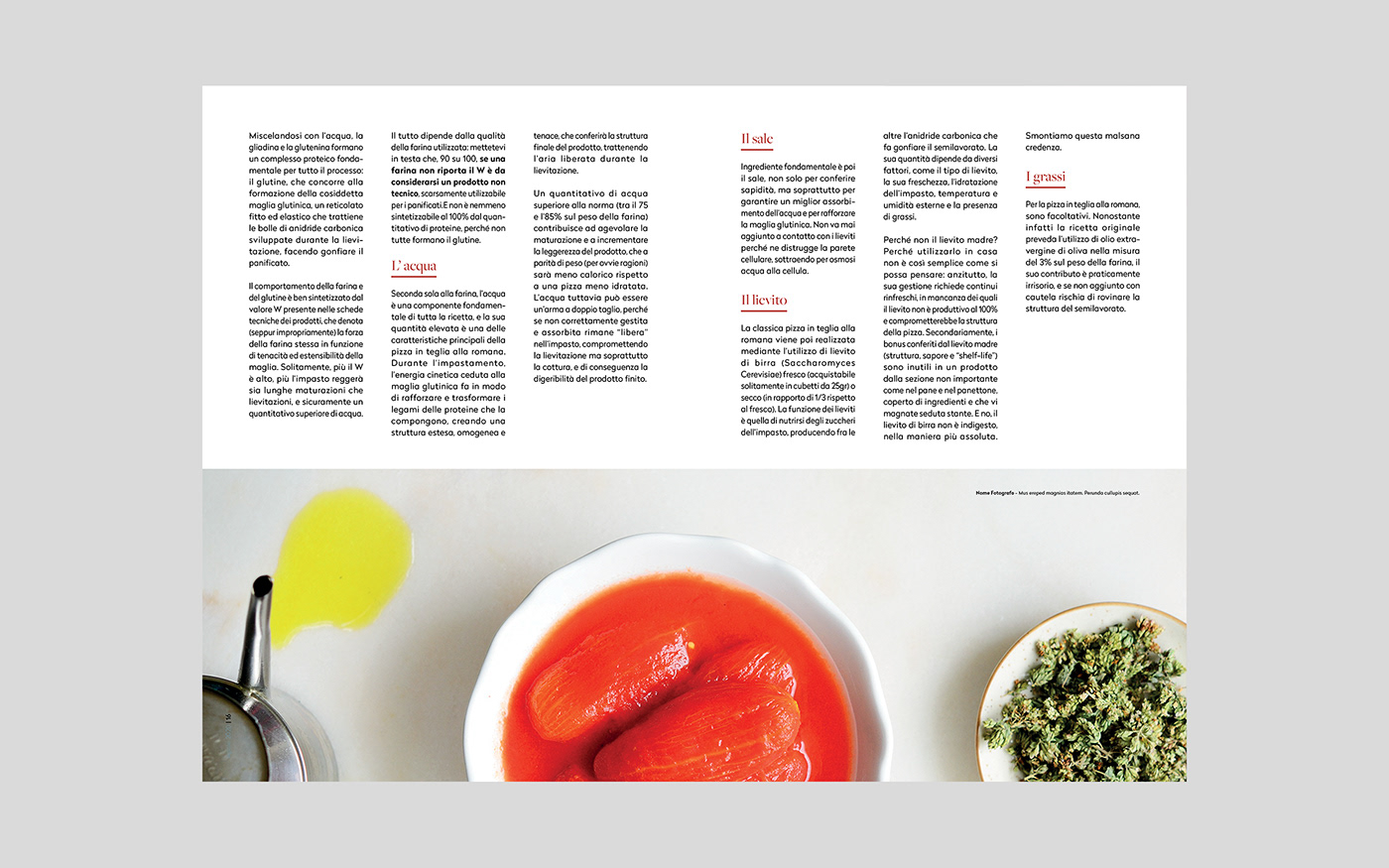 barbecue brochure brochure design cooking Food  hamburger magazine Magazine design meat recipes