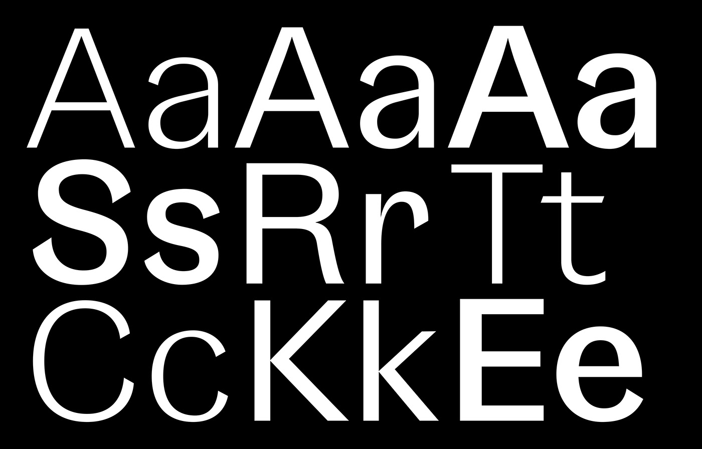 typefaces typography   typedesign design graphic design  grotesk Free font family free Free font freebie