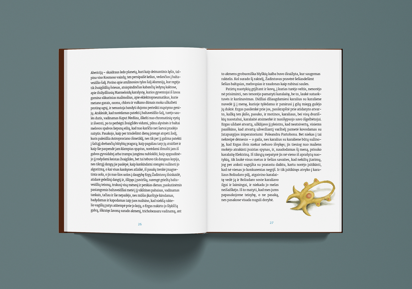 ILLUSTRATION  book design Graphic Designer InDesign