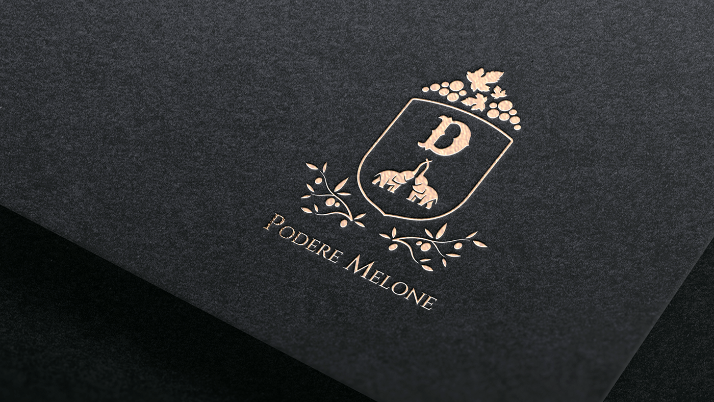 Logo Design graphic design  visual identity brand identity visual wine label agriculture identity Brand Design wine logo design
