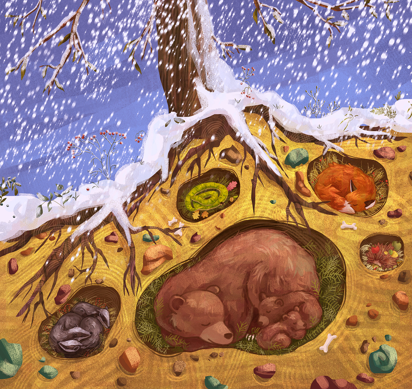 animals bear children illustration forest FOX Hedgehog kidlit sleeping animals snake winter