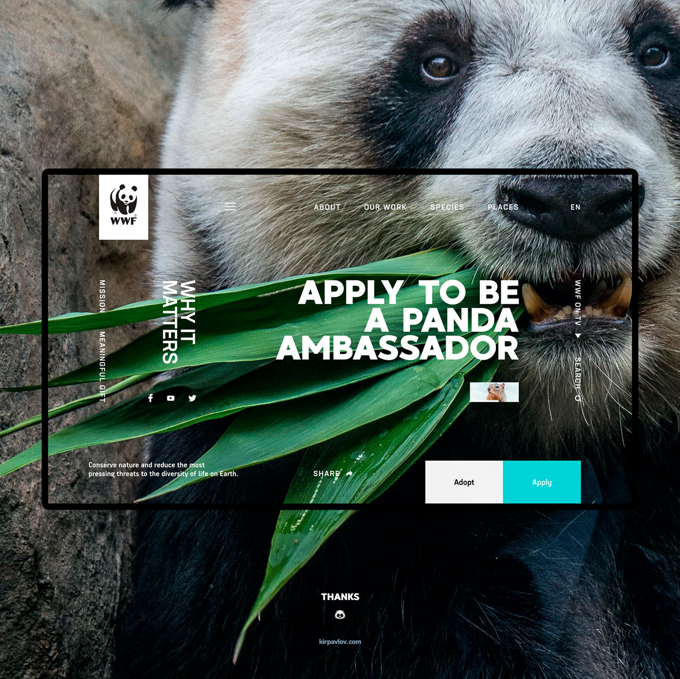 UI ux Nature concept WWF Webdesign animals