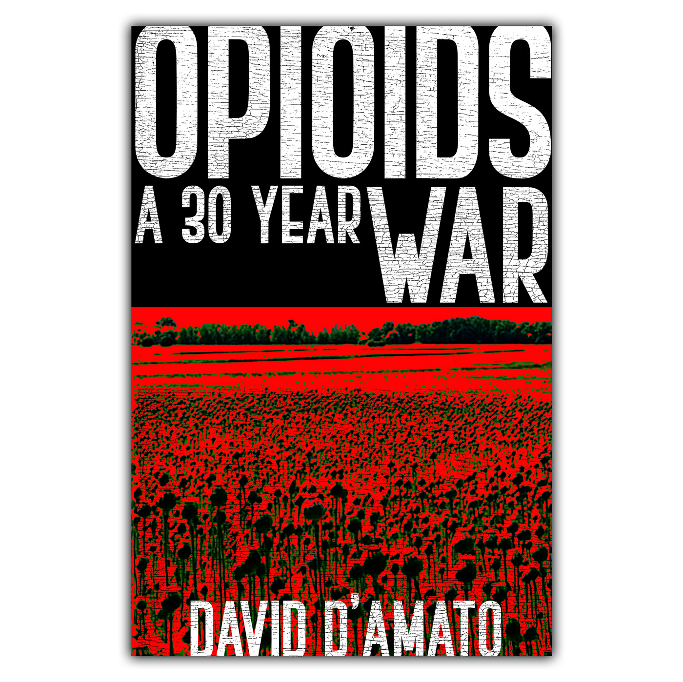 A 30 YEAR STORY OPIOIDS BOOK