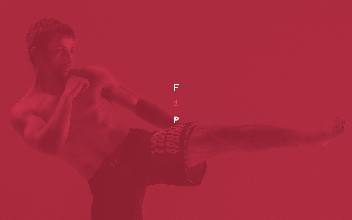 f4p fight pride fight 4 pride Martial Arts MMA Boxing Website Montreal Quebec interactive design brochure fullscreen Awards
