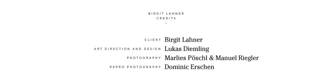branding  handmade craft typography   graphic design  austria