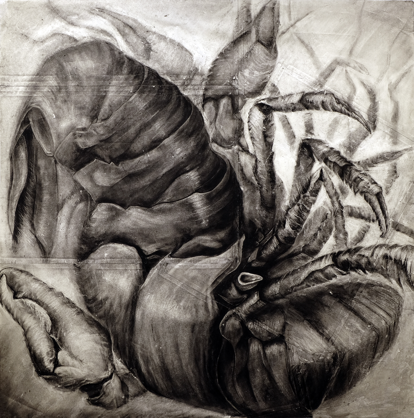 charcoal Drawing  crayfish figure modeling figure fine art foundation studies Tom Mills