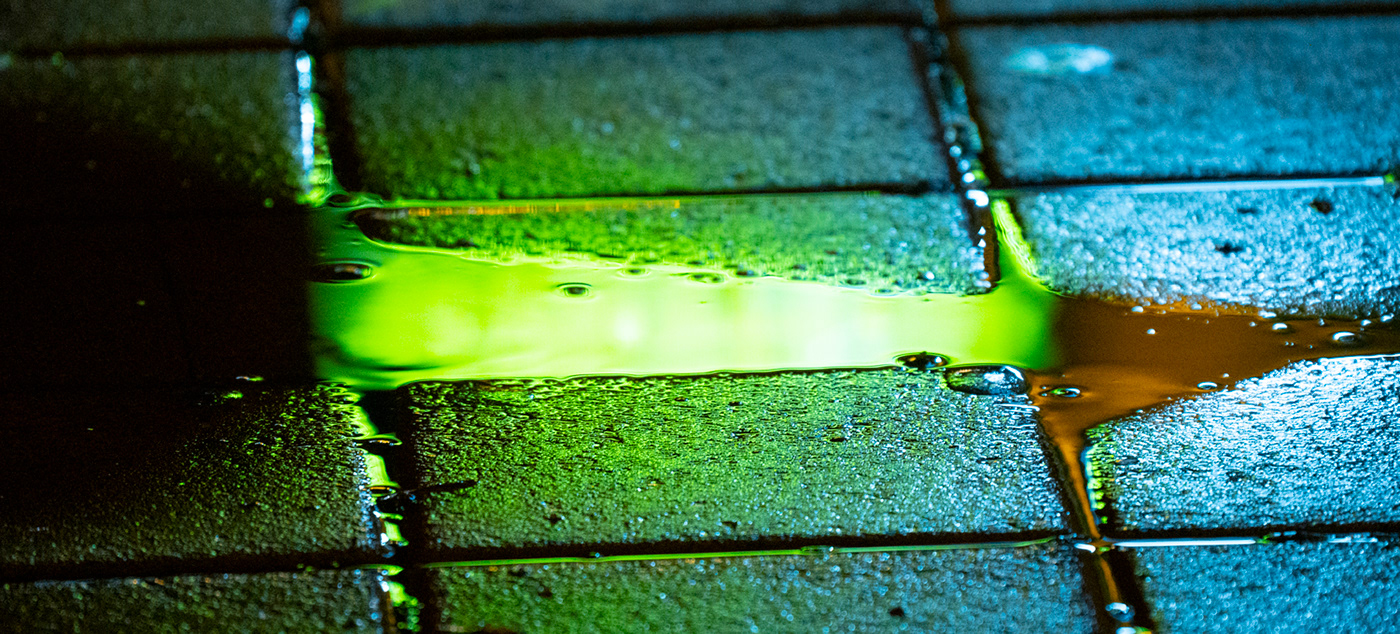 rain water wet night neon Street Magic   puddle plants USUAL