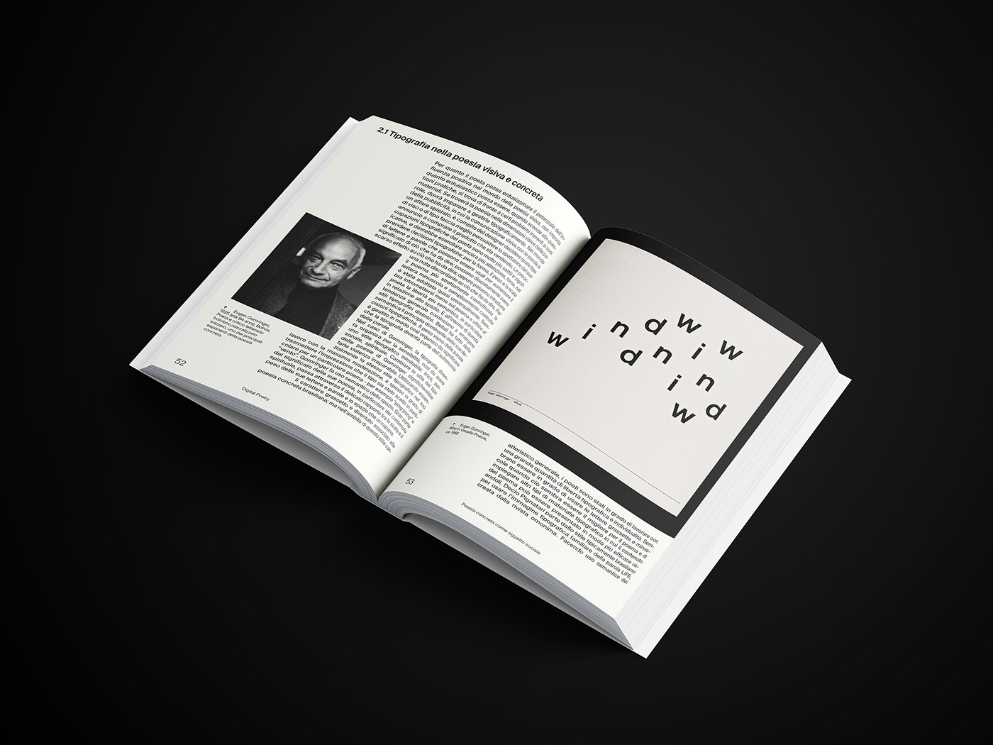 book graphic design  print Poetry  Editing  typography   digital iuav metagrafik