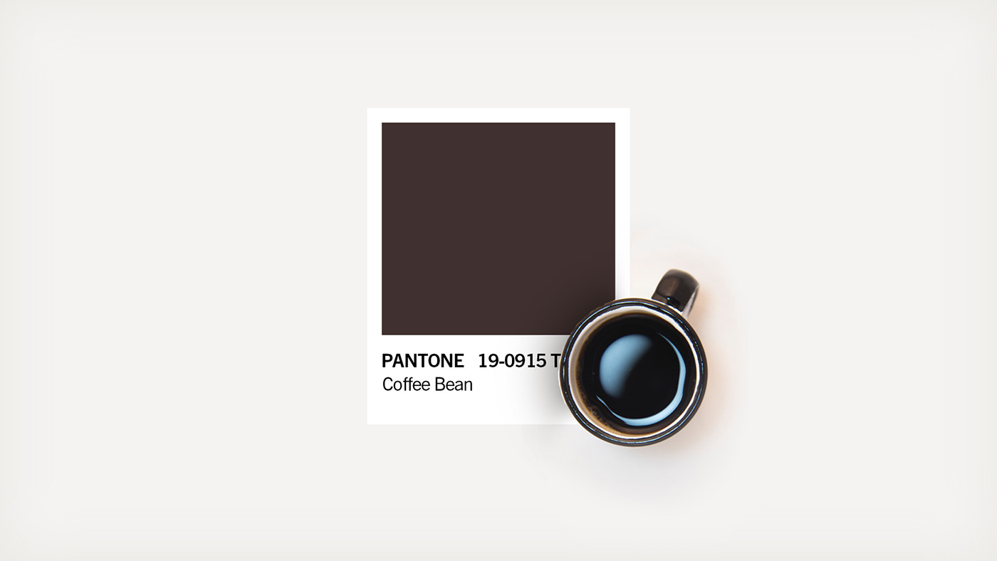 pantone colour color Mockup psd colour palette palette scheme free download