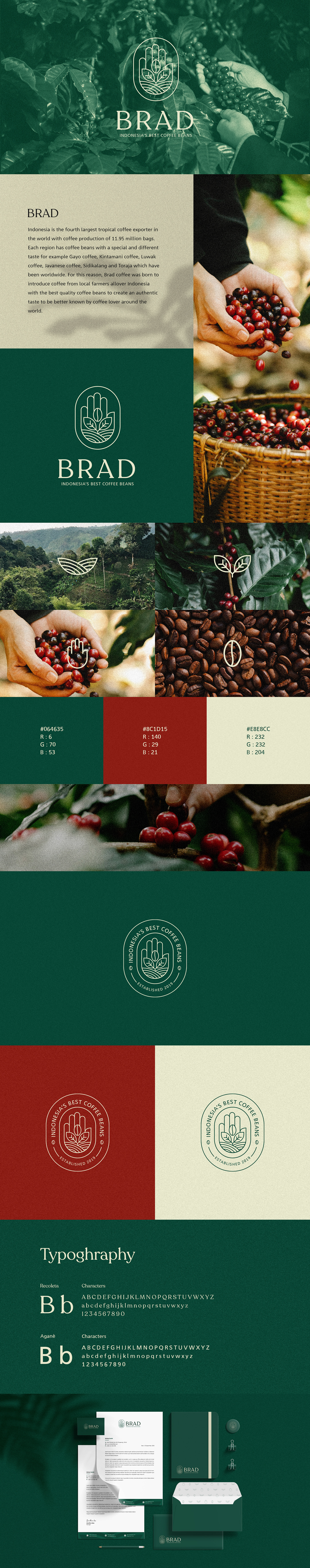 brand identity branding  Branding design cafe Coffee coffee packaging coffee shop Logo Design Packaging packaging design