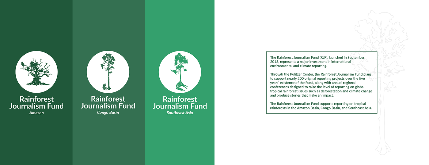 design rainforest ILLUSTRATION  graphic design  brand identity visual identity Brand Design social good journalism   Digital Art 