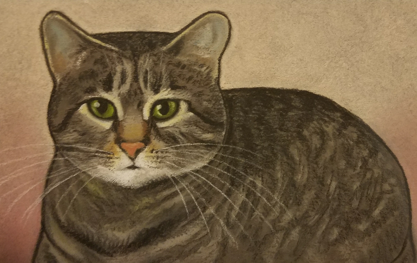 cats Cat kitten kitty animal Pet portrait painting   Drawing  ILLUSTRATION 