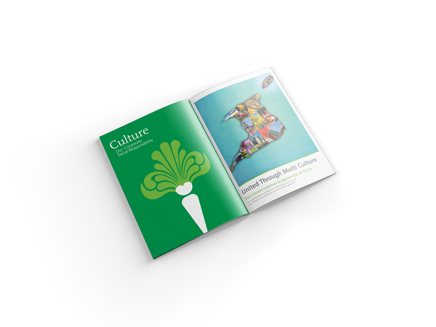 typesetting book design Trinidad annual report Layout ILLUSTRATION  identity