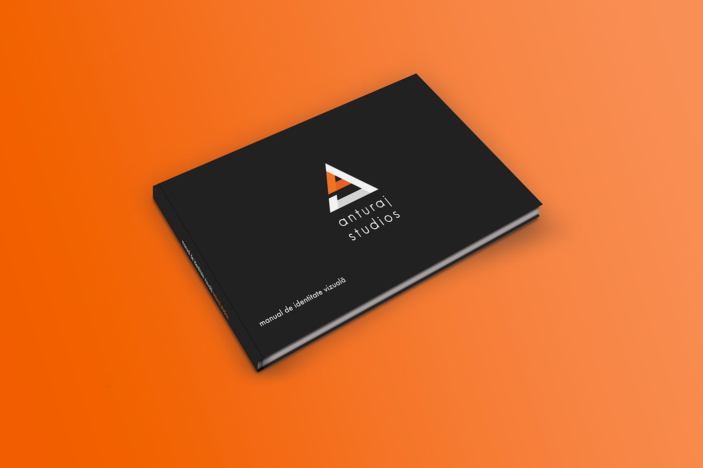 logo logodesign minimal cleandesign branding  brandidentity visualbranding triangle business card brand book