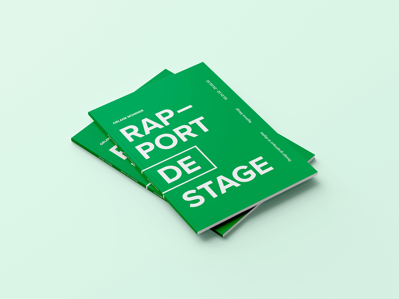 book cover designer edition graphisme identity mise en page print rapport de stage typography  