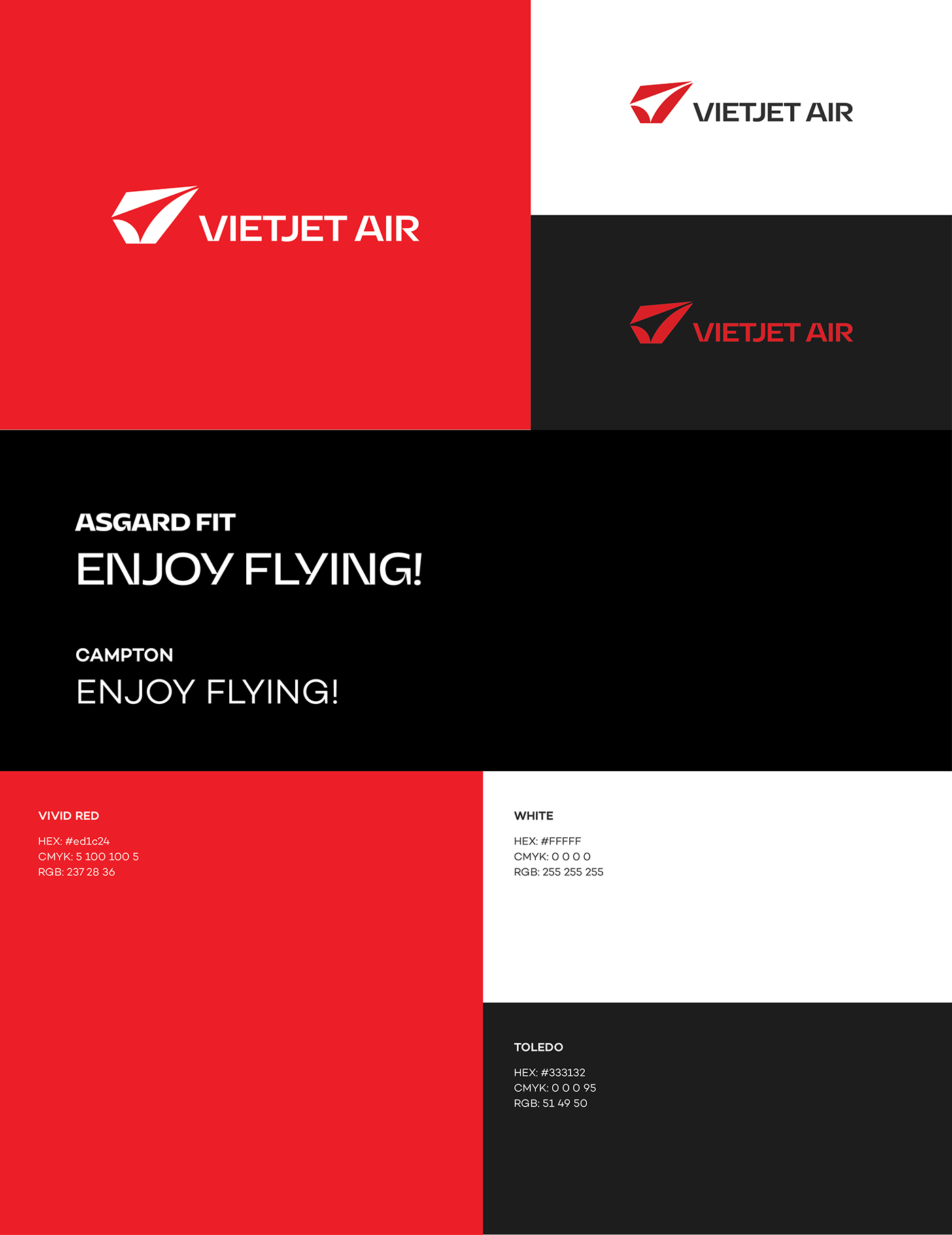 graphic design  branding  brand identity Logo Design identity Advertising  airplane plane