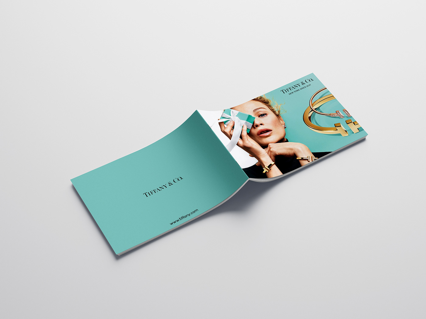 Catalogue Catalogue design tiffany & co Jewellery catalog earrings Necklace silver gold Invoice Design