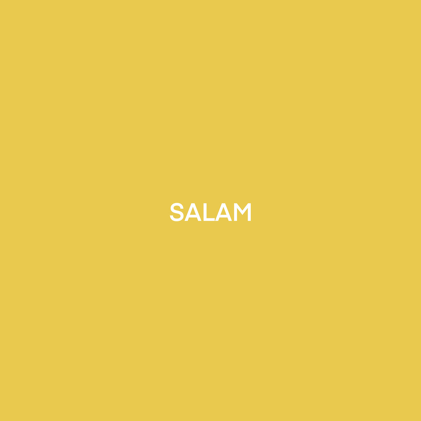 salam logo graphic design  汉字设计  