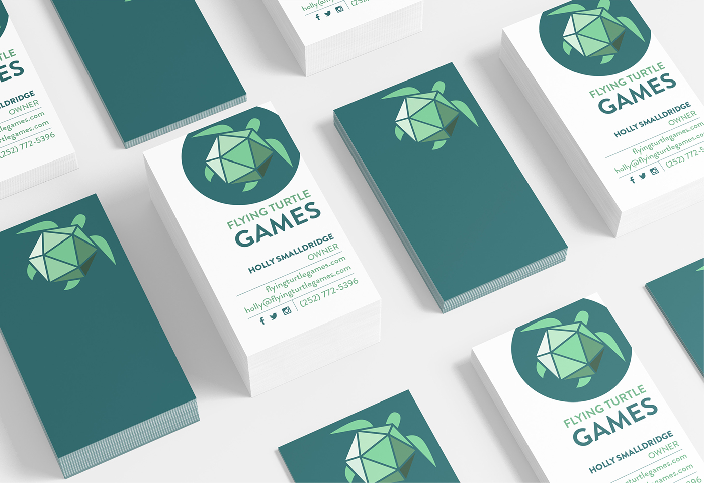 Flying Turtle Games Turtle brand identity Games game identity Gaming Wilmington new bern