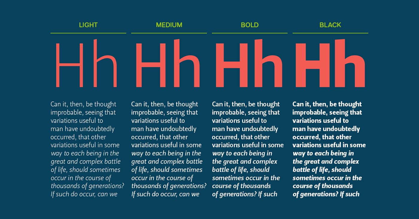 typography   fonts