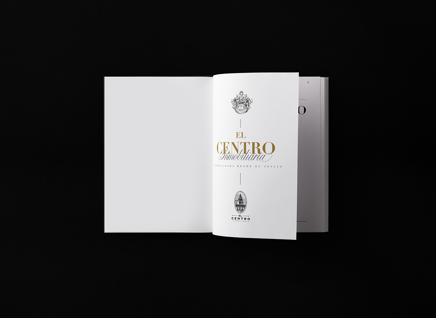 editorial design  Guadalajara branding  Logotype ILLUSTRATION  architecture book design