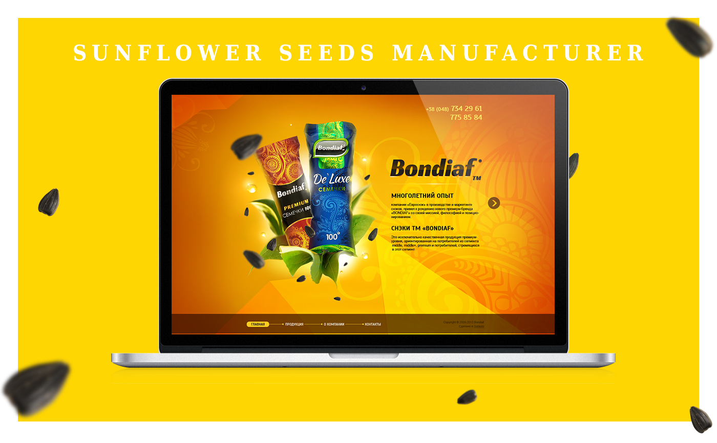 UI ux promo Web Design  seeds site snack design yellow orange