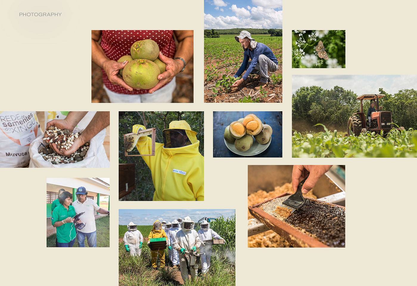social Sustainability sustentabilidade plantation foundation Fundação biotech manifesto preservation Segurança Alimentar
