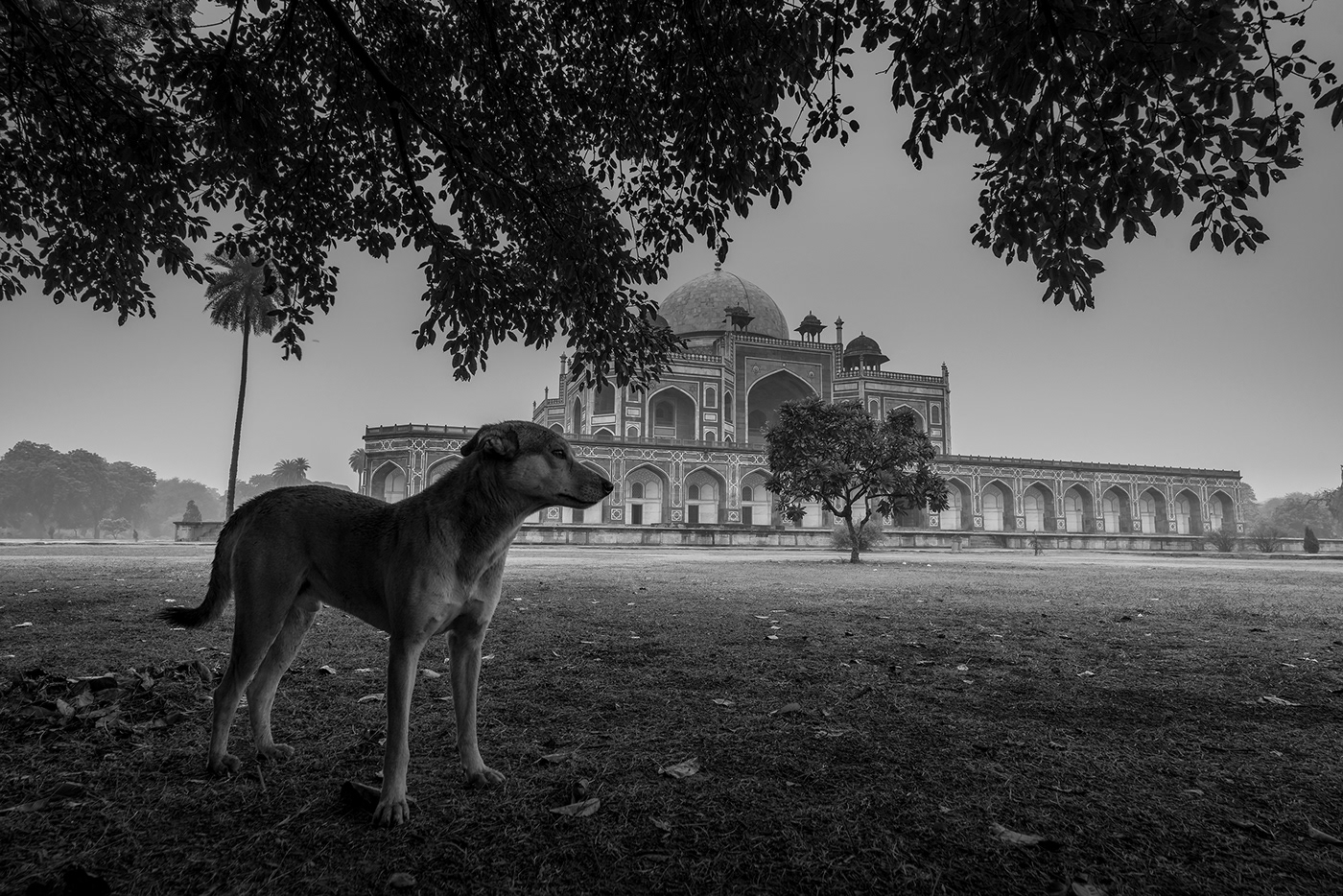 buildings Delhi India black & white mausoleums architecture mughal history tomb archaeological