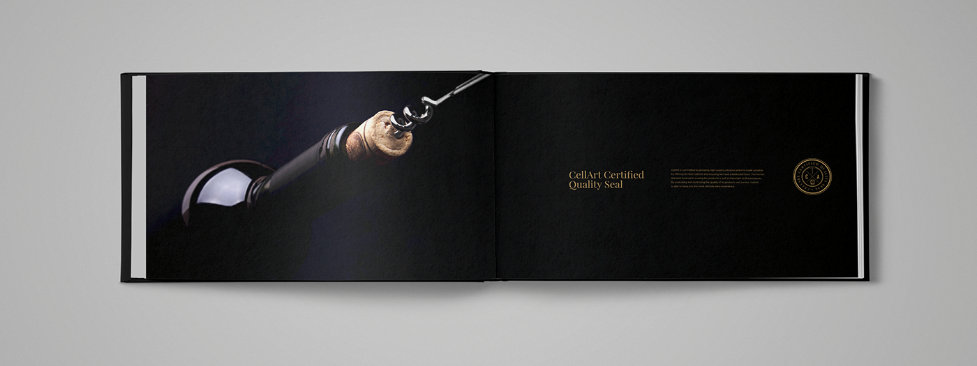 Adobe Portfolio design graphique edition mise en page graphisme livre Catalogue