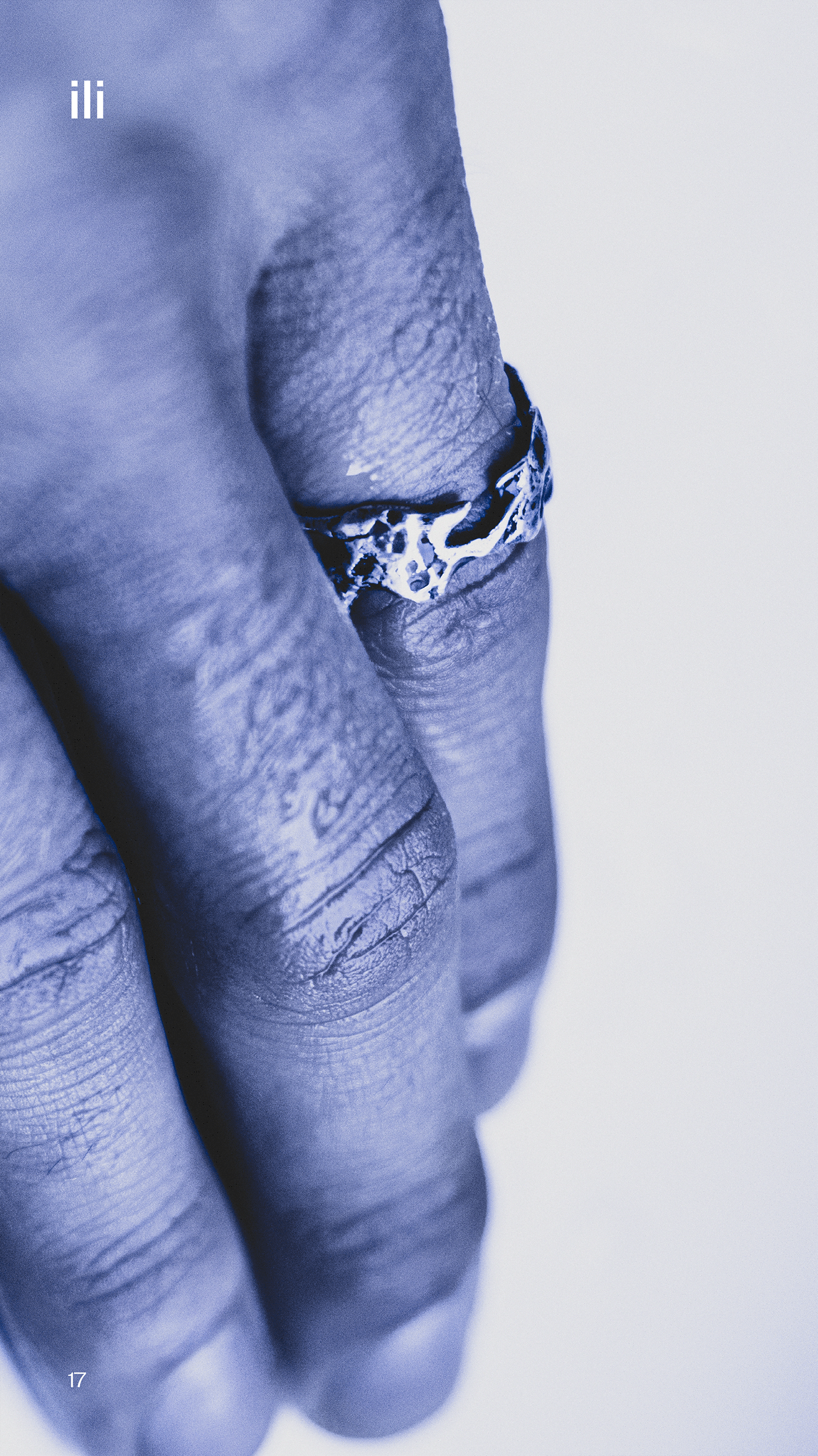 Jewelry Photography Jewelry Design  biomorphic stone dragon украшения минимализм ручная работа типографика предметная фотография
