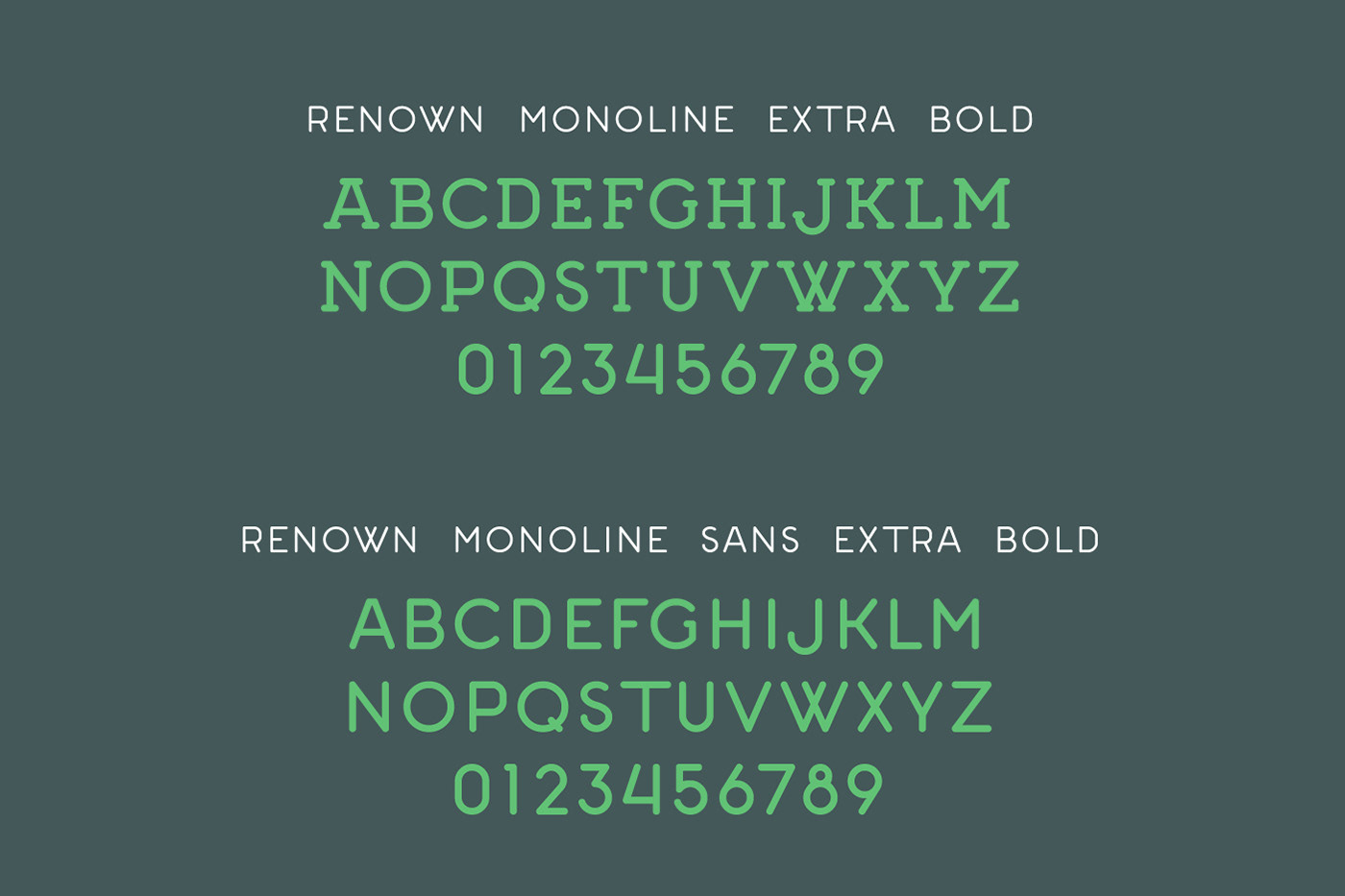 monoline font design branding  Brand Development Creative Direction  graphic design  package design  monoline script sans serif slab serif